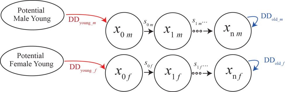 Set Leslie Matrix